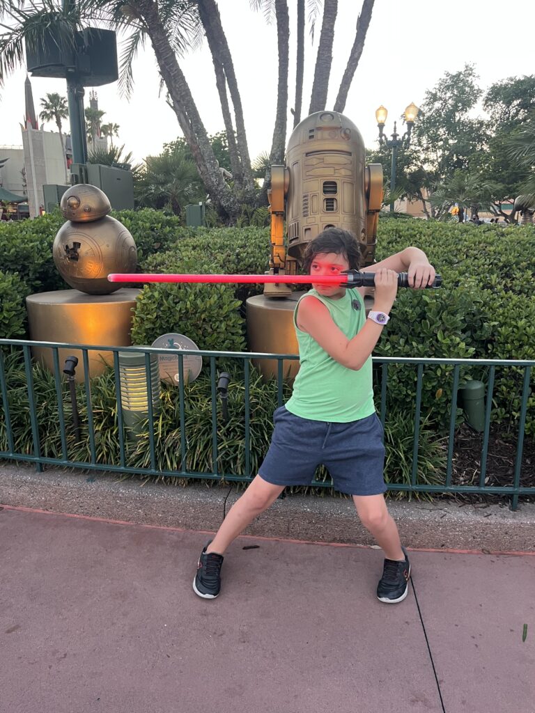 things to do at Hollywood Studios
