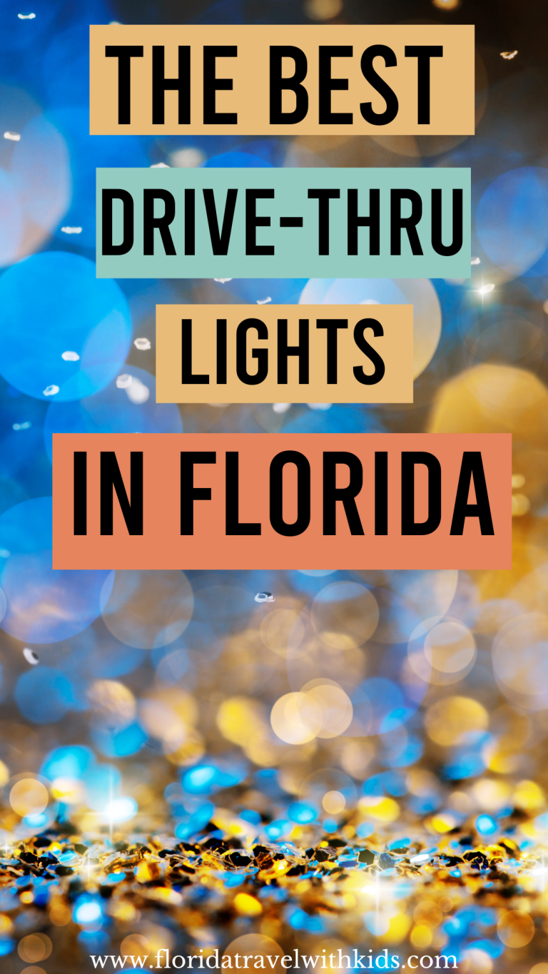 The Best Christmas Lights Drive Thru in Florida