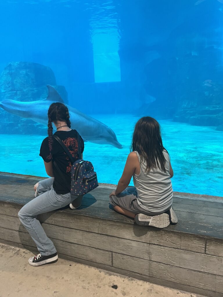 Clearwater Marine Aquarium