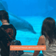 Clearwater Marine Aquarium