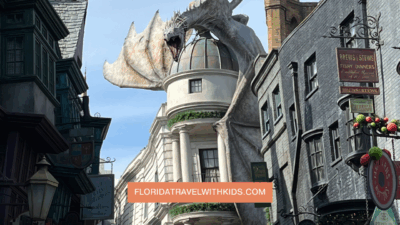 wand experience at Ollivanders