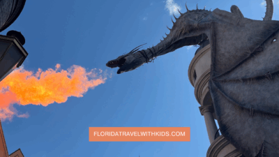 things to do at Universal Studios for adults