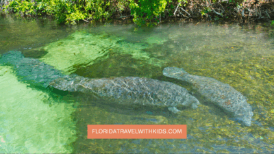 Best Springs in Florida