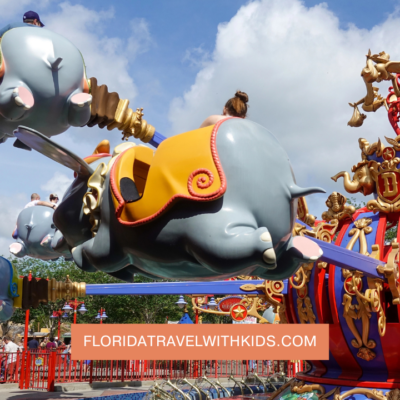 Rides Without a Height Requirement at Disney World