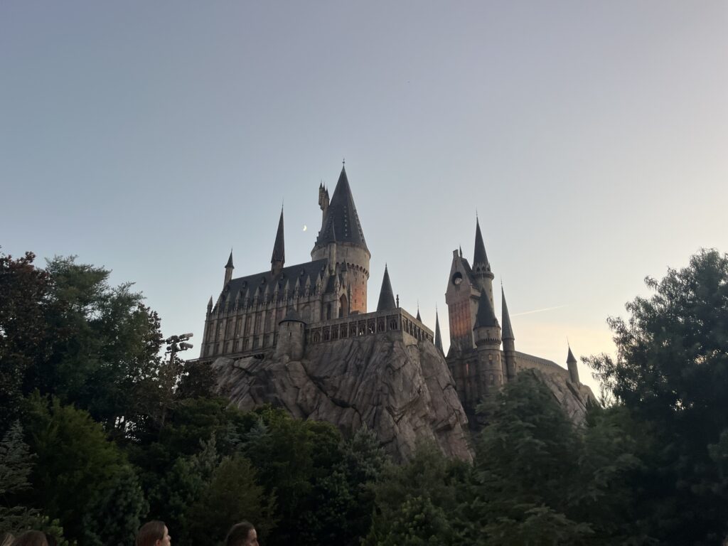 Universal Attraction Assistance Pass (AAP)